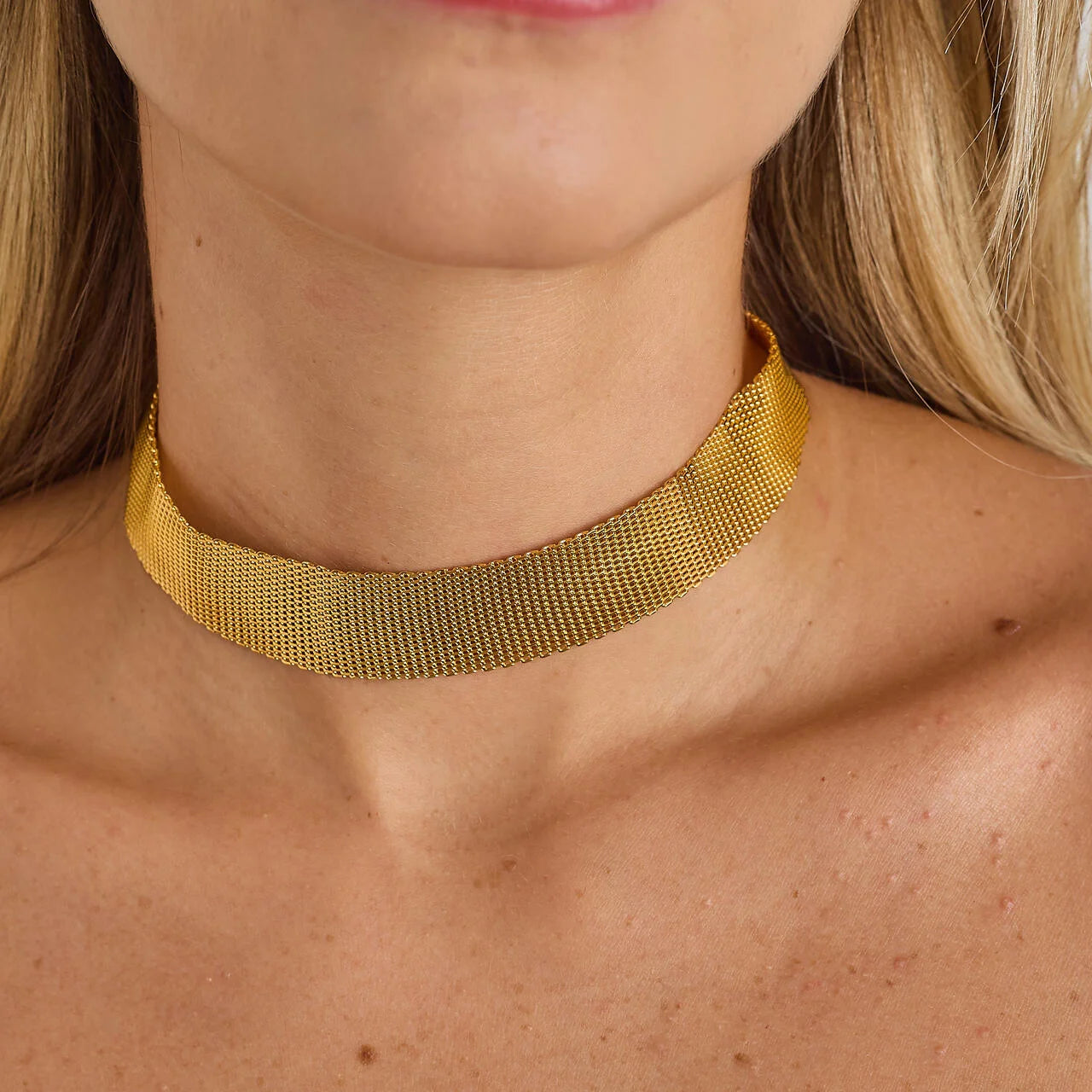 Gold-Plated Mesh Choker