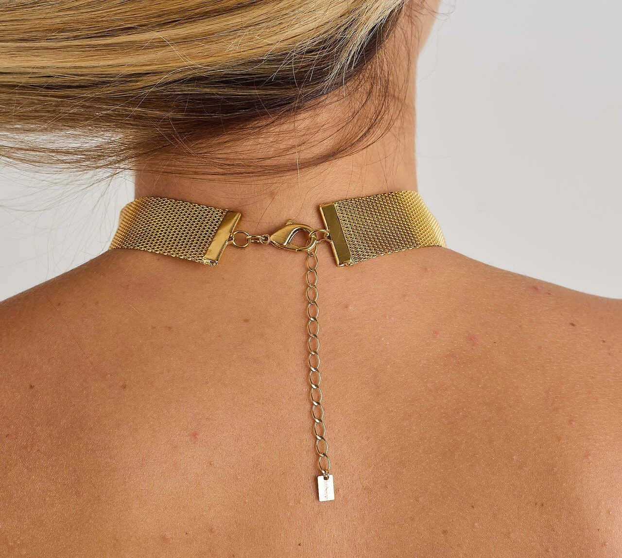 Gold-Plated Mesh Choker